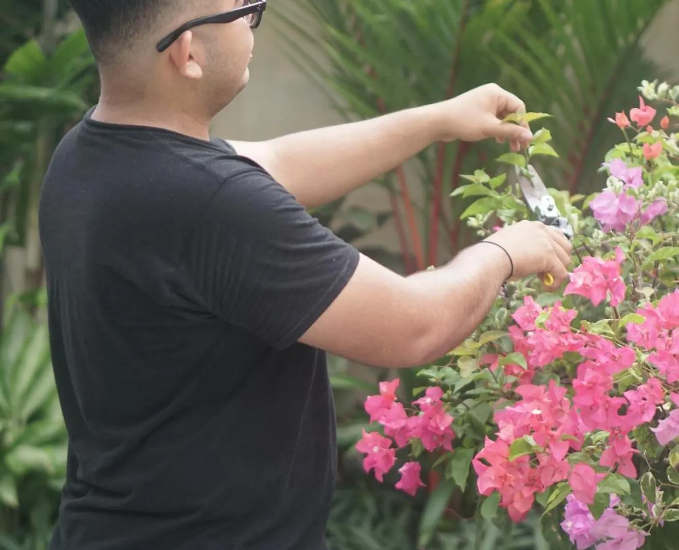 Amalia Swan Haven Villa Seminyak 0*, 세미냑